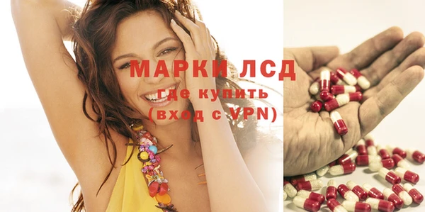 spice Алексин