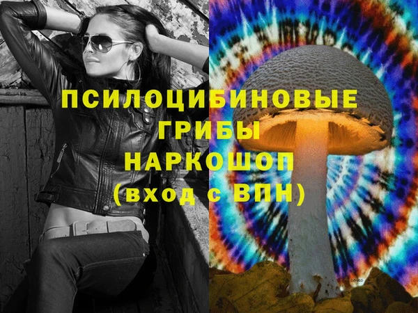 спайс Алзамай