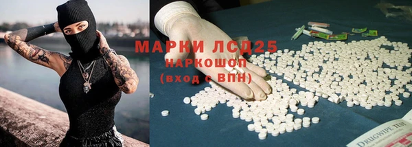 спайс Алзамай