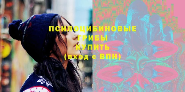 spice Алексин