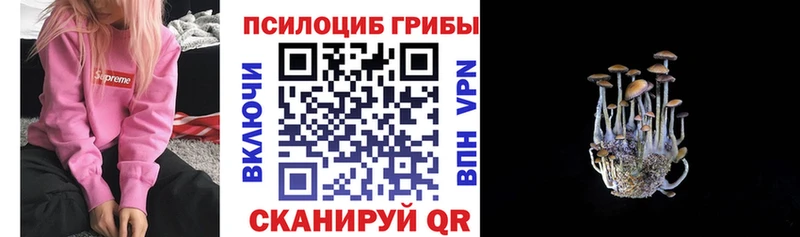 купить наркотик  hydra рабочий сайт  Галлюциногенные грибы MAGIC MUSHROOMS  Шадринск 