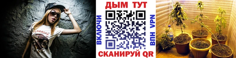 Шишки марихуана Ganja  Шадринск 